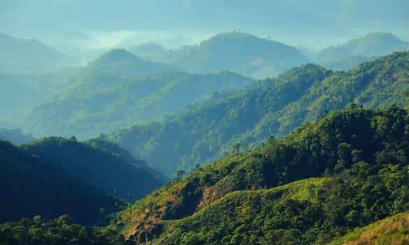 The green mountains in the morning are sunny.