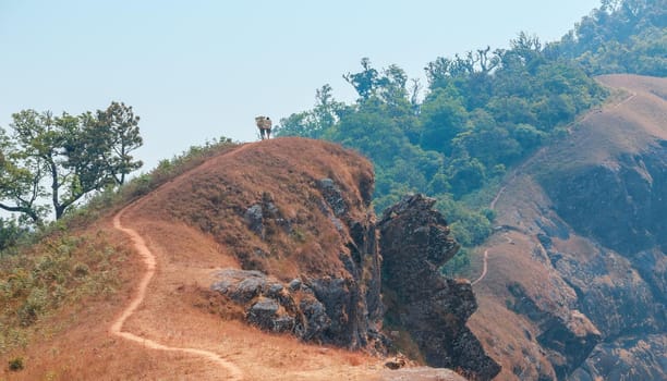 yellow field on top of the mountain at Monjong, Chiang Mai, Thailand