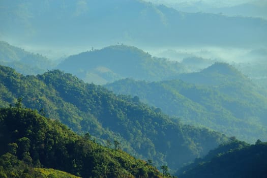 The green mountains in the morning are sunny.