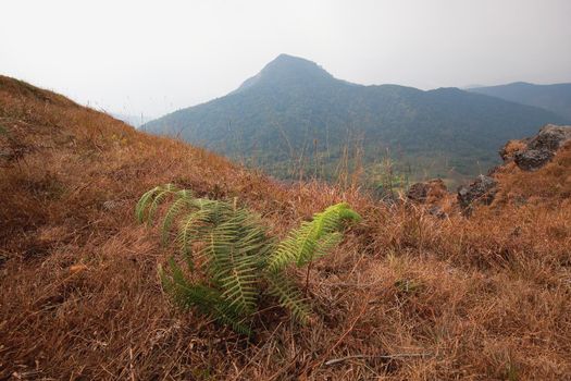The highest point has mountains and the sky as the background.