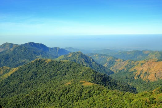 The green mountains in the morning are sunny.