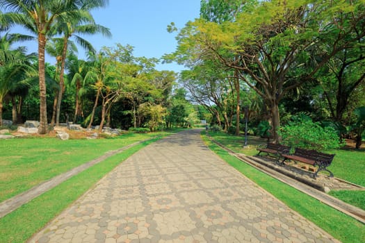 Pathway in the park On a sunny day