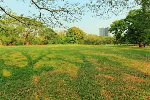 The park has fresh green lawns. On a sunny day