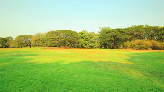 The park has fresh green lawns. On a sunny day