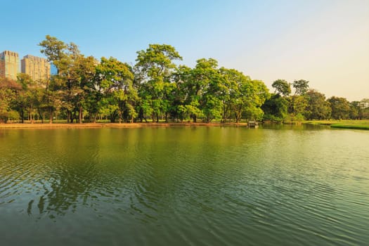 Lake in the evening With a tree and building background