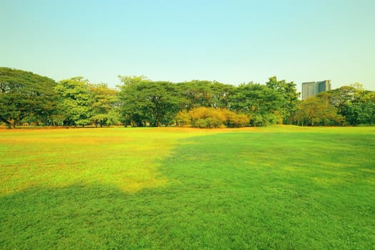 The park has fresh green lawns. On a sunny day