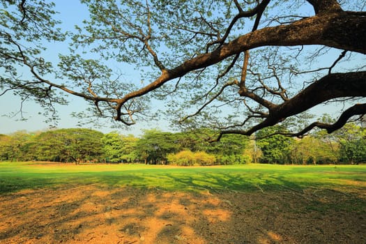 The park has fresh green lawns. On a sunny day