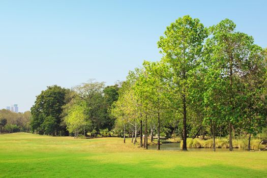 The park has lawns and is full of trees.