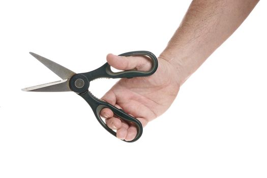 Hand holds kitchen scissors on a white background, a template for designers.