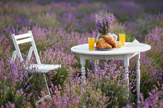 White wooden table served with fresh delicious croissants, glass of orange juice, honey jar with wooden spoon and vase with lavender bouquet and chair. Amazing decoration in blooming lavender field.