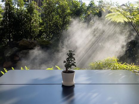 Table of free space with green plant, stock photo