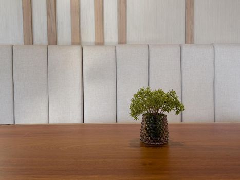 Table of free space with green plant, stock photo