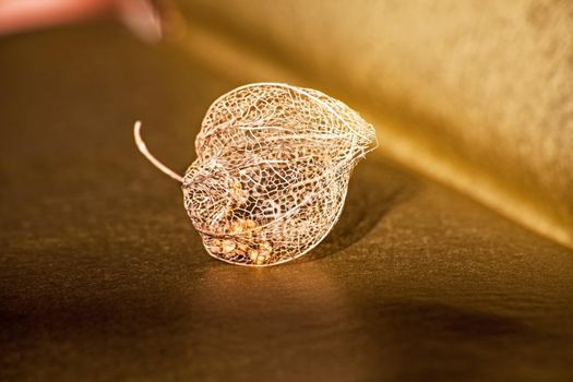 The golden dried skeleton of the husk of the Cape Gooseberry (Physalis peruviana) with seeds inside,