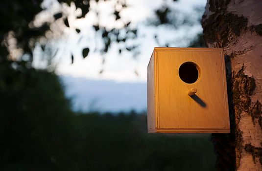 Wooden birdhouse on a tree. On a birch there is a house for a bird