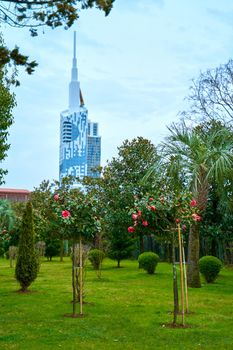 View from a colorful green park to a modern glass building with a spire. Architecture of Batumi.