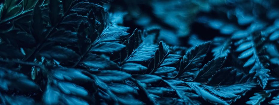 Blue plant leaves at night as surreal botanical background, minimal design backdrop