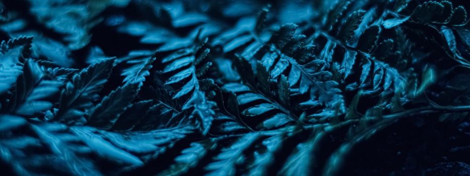 Blue plant leaves at night as surreal botanical background, minimal design backdrop