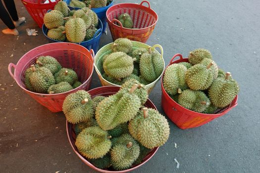 Basket full of durians at Talad Thai fruits market.