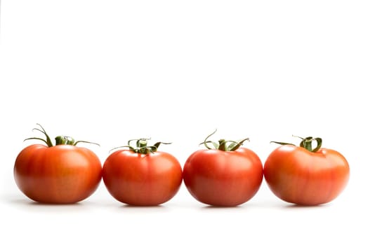 Four realistic looking fresh red tomatoes lying in a line isolated in a white background