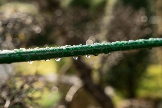 Close up of raindrops on a green metal fence in autumn