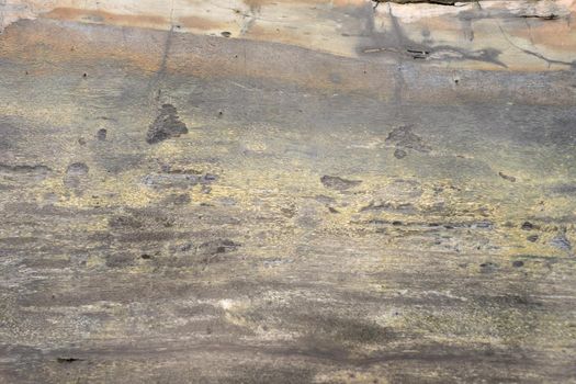 Close up of the surface of a shelf from a petrified tree