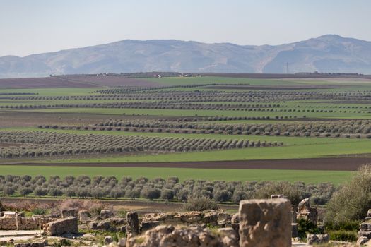 Volubilis is a site of Roman ruins and formerly a partly excavated Berber city in Morocco near the city of Meknes.The images show the ruined buildings and columns that are part of the large site High quality photo