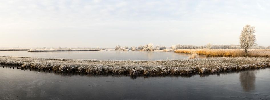 Sunny clear Dutch wetland near Reeuwijk with frost and snow in wintertime