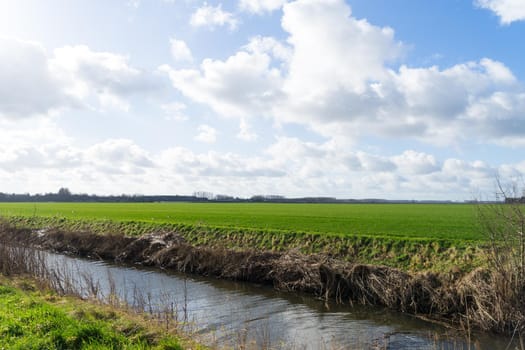 Bright colorful landscape with ditch. Cloudy sky over an endless field and meadow. Sunny day. Hulst, Zeeland, The Netherlands, Holland