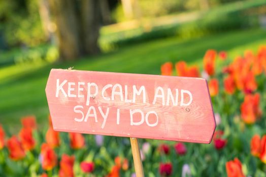 Pink sign in a bed of red tulips saying "Keep calm and say I do" wedding proposal engagement