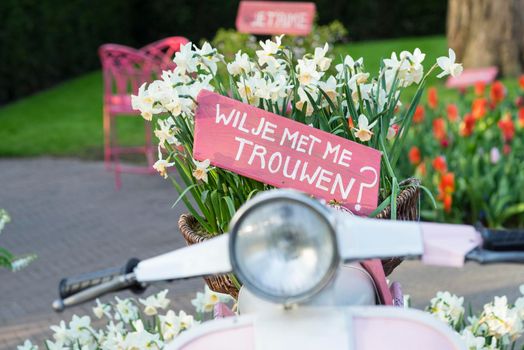 Pink sign in a basket of daffodils on a scooter saying 'Will you marry me?' in Dutch 'Wil je met me trouwen?'