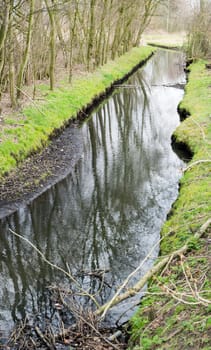View down a brook with grassland and bare trees that reflect in the water in early spring