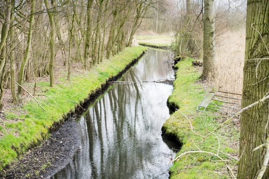 View down a brook with grassland and bare trees that reflect in the water in early spring