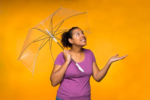 young attractive mixed race woman holding an umbrella checking for rain wearing a purple shirt against a yellow background