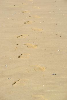 Footsteps shoe prints in the sand on an sunny day at the beach