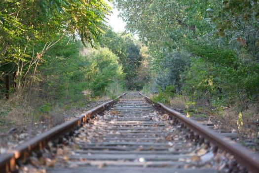 Railway abandoned in a forest area