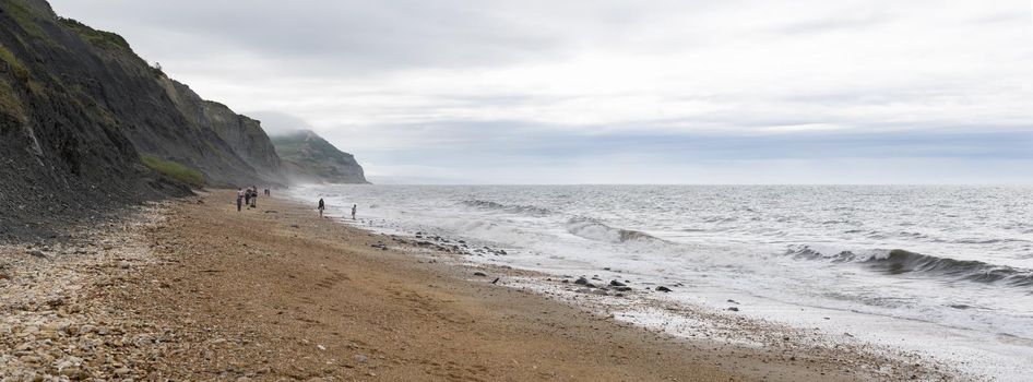 Charmouth, Dorset, England, UK. June 24 2017. Unrecognisable people looking for fossils on the Jurassic Coast beach