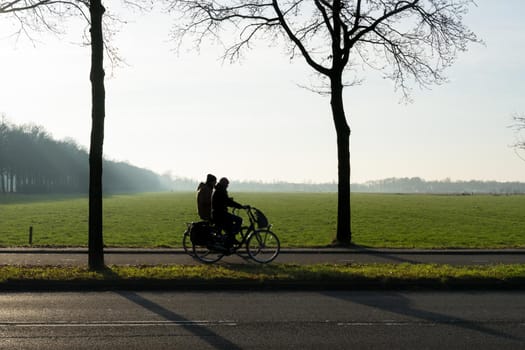 Silhouette of two cyclists with trees in the morning sun with mist and a wide view over a grassland