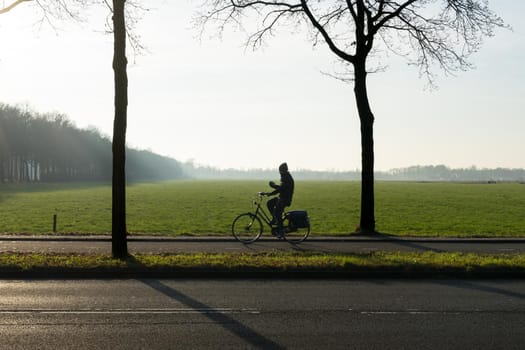 A silhouette of a cyclist with trees in the morning sun with mist and a wide view over a grassland