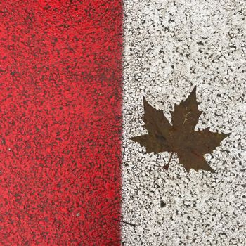 a Maple leaf on a red and white background looking like the Canadian flag
