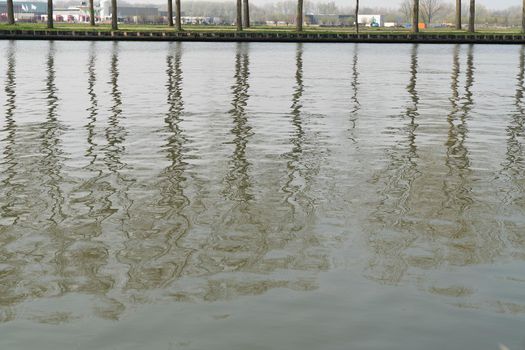 Some lined trees on the banks of a canal or river with refelction in the water in The Netherlands at daytime in the summer