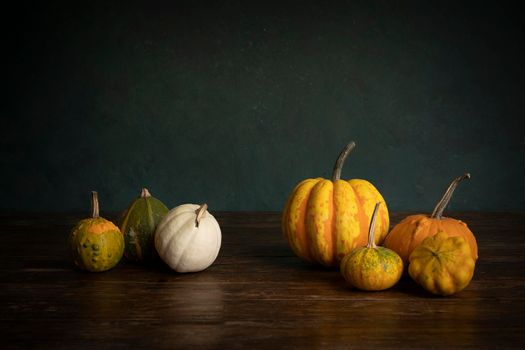 A Still life scene with orange and green pupkins or squash for halloween