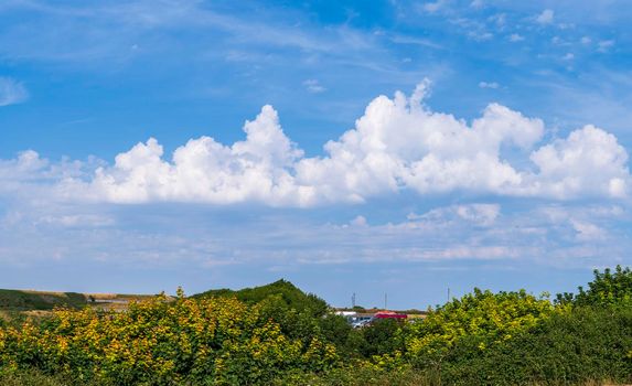 a Cloudscape with large cummulus clouds over the rural countryside on the island of Portland, Dorset, England UK