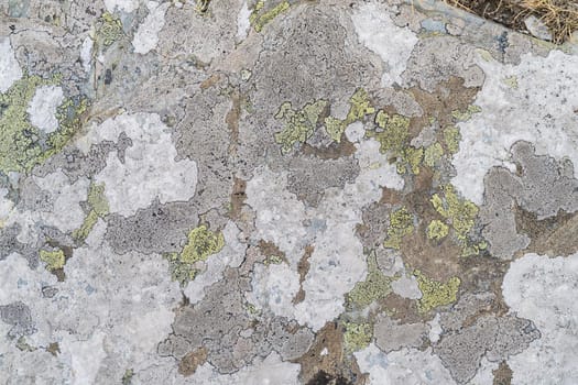 A stone background with textured surface and Lichen Moss. Pattern mineral with rough structure and lichen. mountain backdrop. Natural stone surface.