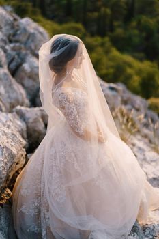 A large portrait of the bride covered with a veil.
