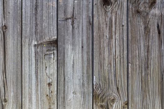 gray dry wooden planks wall suface texture and background.