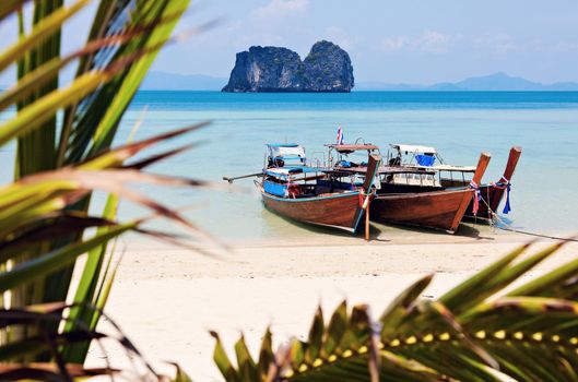 Long Tail boats on the beach in Thailand