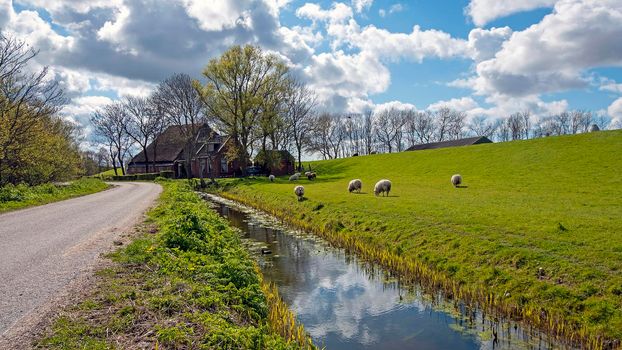 Spring in the countryside from the Netherlands