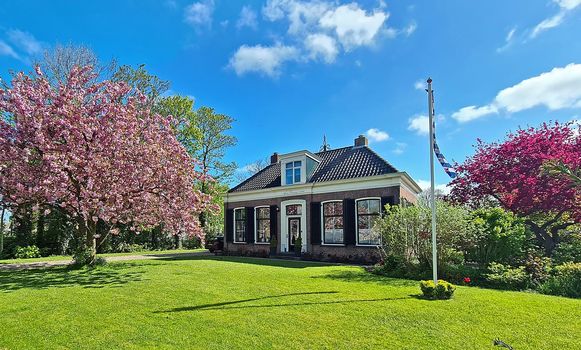 Blossoming cherry tree and a medieval country house in the Netherlands