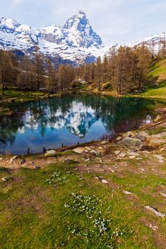 Matterhorn reflected in Blue Lake Breuil-Cervinia, Aosta Valley, Italy.