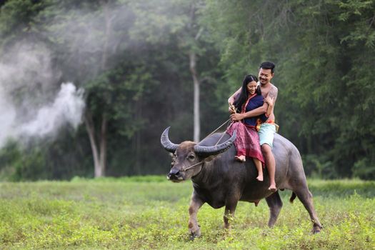 Couple Thai farmers family happiness time riding on buffalo on the field, Thailand